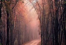 个人POS机的办理流程是怎样的？个人POS机的费用包括哪些？