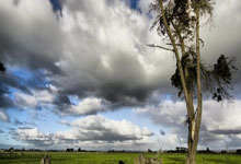 拉卡拉电签POS机刷卡不到账（POS机刷卡不到账解决办法）