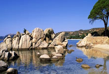 免费POS机在线申请流程（个人免费POS机申领入口）